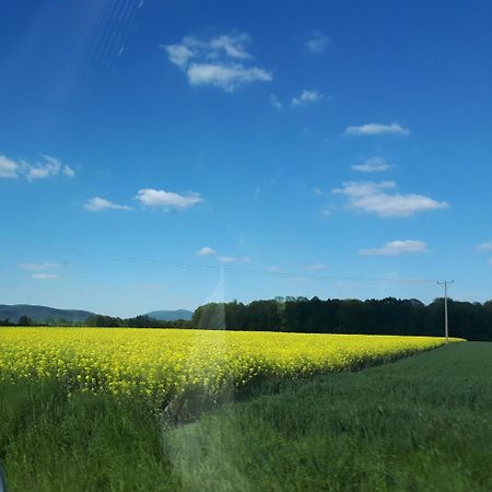 Agroturystyka "Jagap" Oaza Spokoju Dzierżoniów Esterno foto