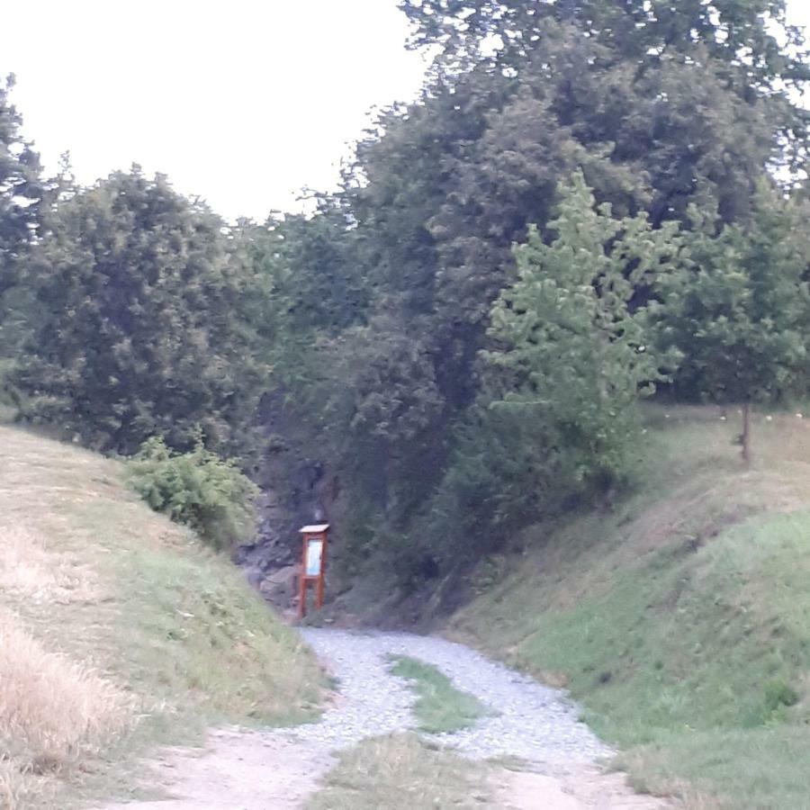 Agroturystyka "Jagap" Oaza Spokoju Dzierżoniów Esterno foto